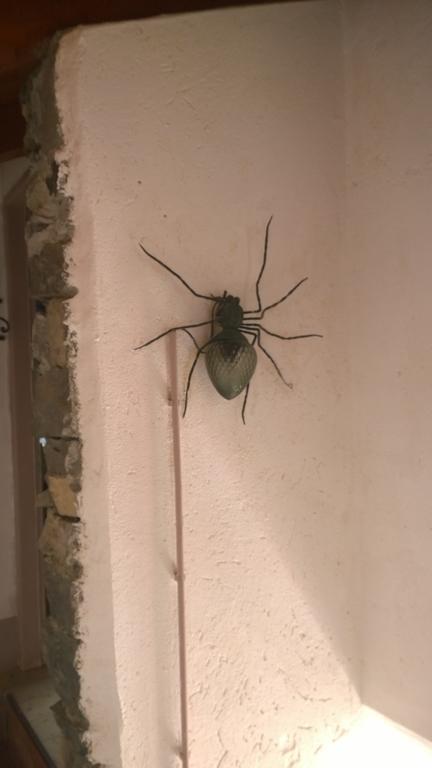 卡萨帝卡米拉住宿加早餐旅馆 Carate Urio 外观 照片